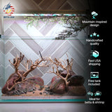 [SCAPE-80] Bonsai On Rock Nature Aquarium Aquascape – 2.7 Gallons