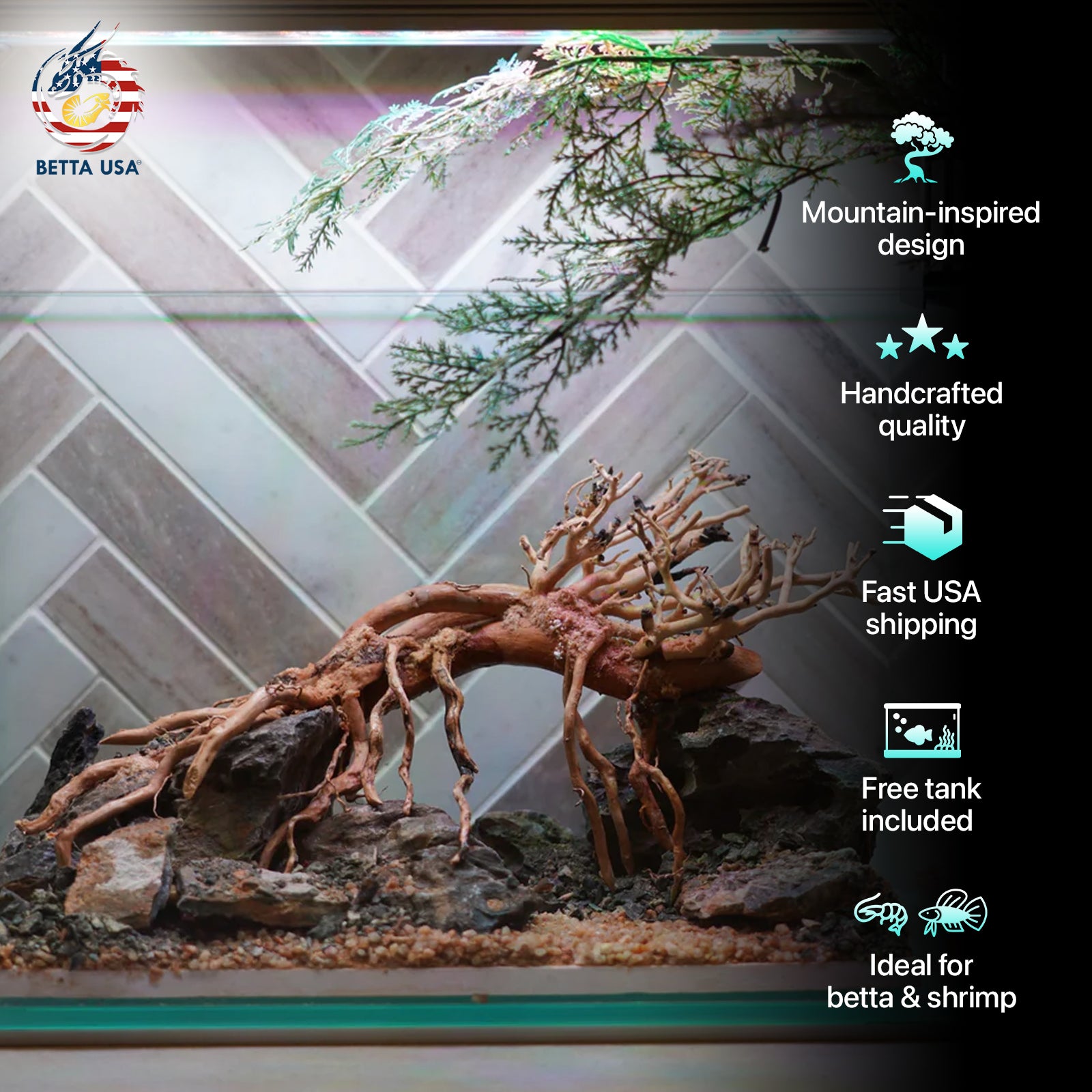 [SCAPE-82] Bonsai On Rock Nature Aquarium Aquascape – 2.7 Gallons