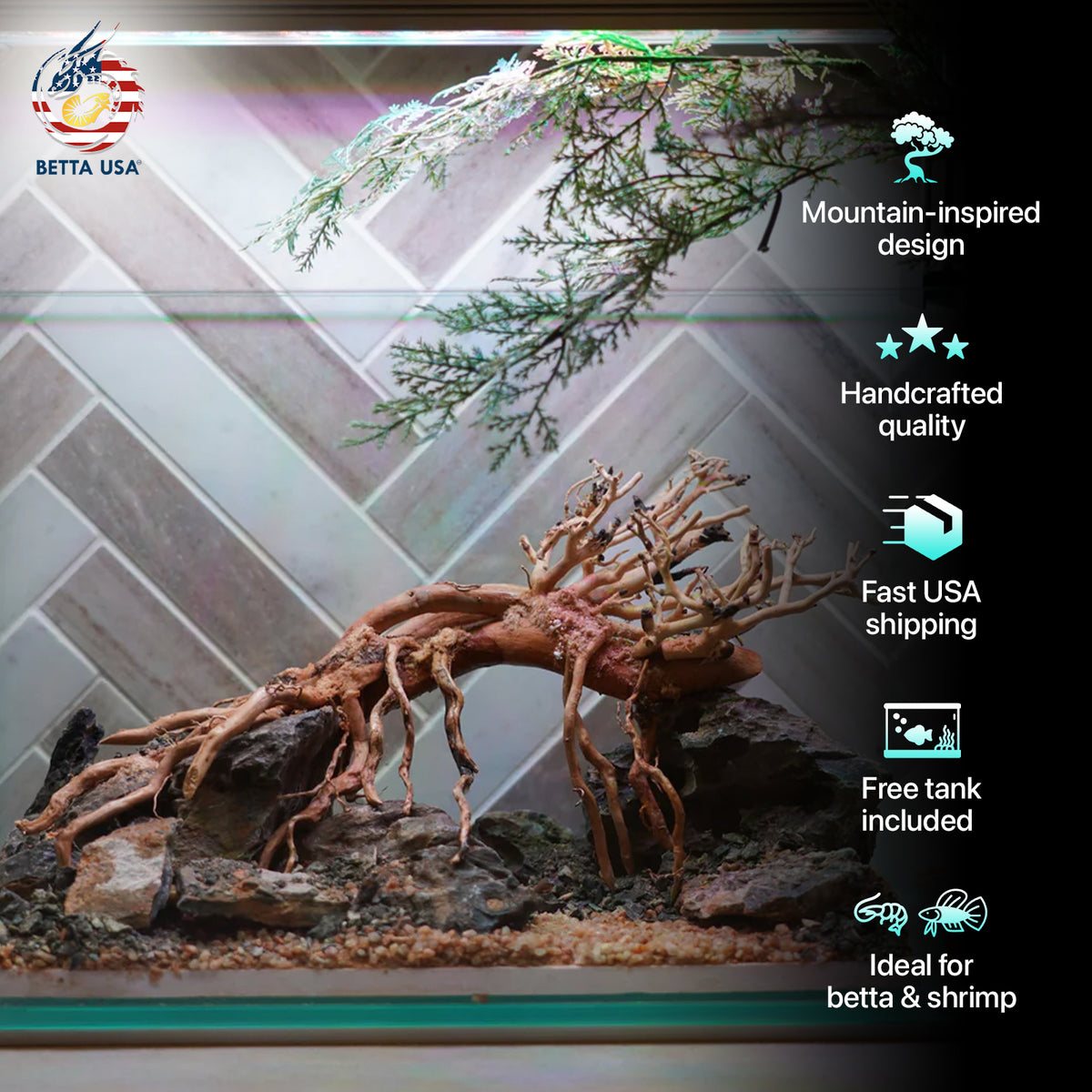 [SCAPE-82] Bonsai On Rock Nature Aquarium Aquascape – 2.7 Gallons