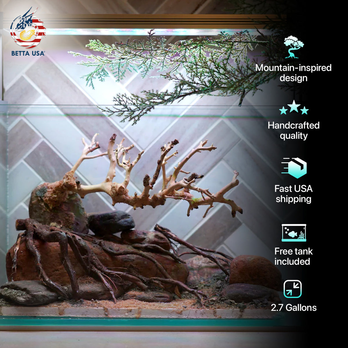 [SCAPE-88] Bonsai On Rock Nature Aquarium Aquascape – 2.7 Gallons