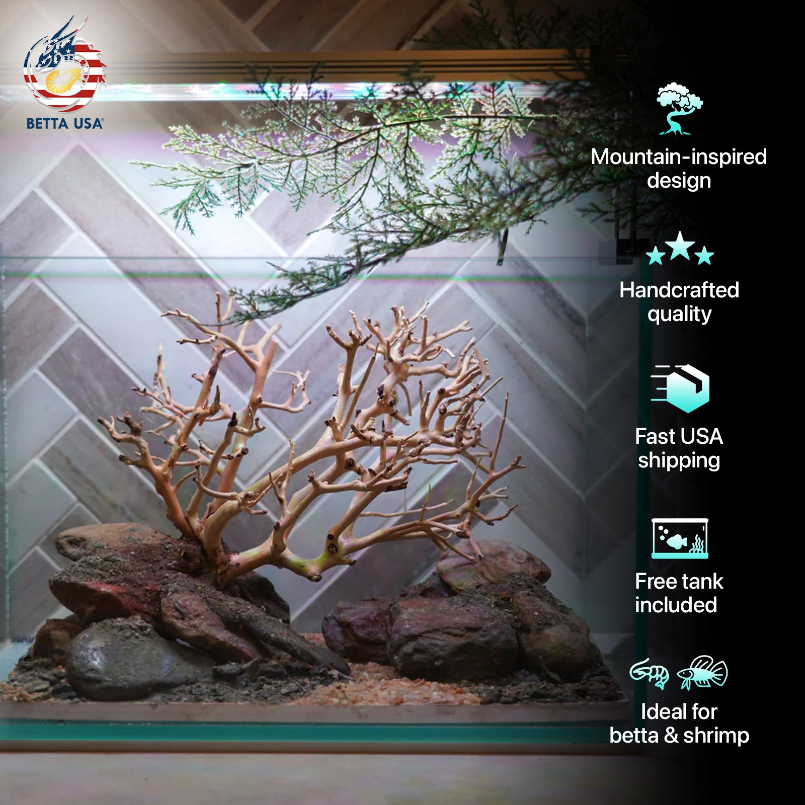 [SCAPE-90] Bonsai On Rock Nature Aquarium Aquascape – 2.7 Gallons