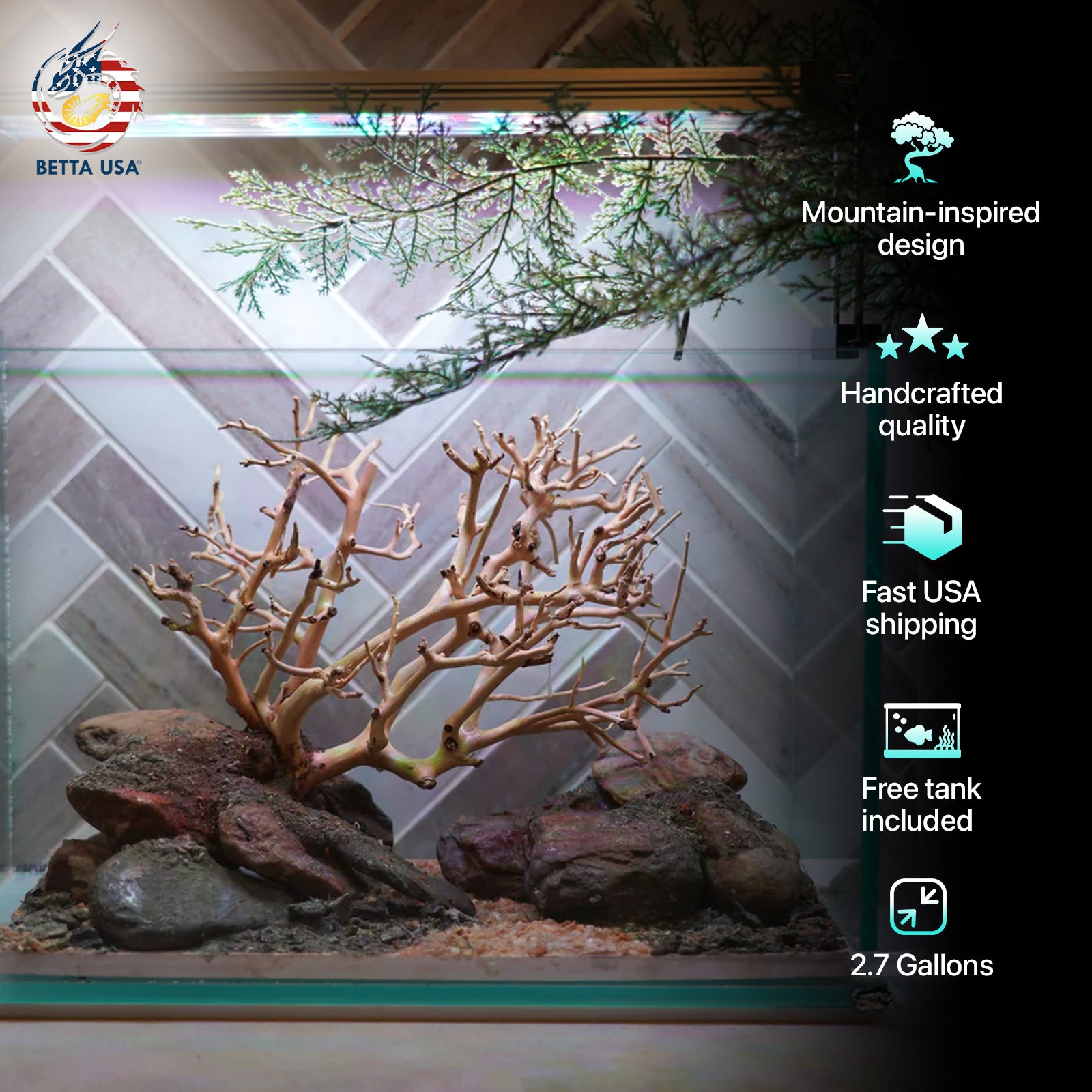 [SCAPE-90] Bonsai On Rock Nature Aquarium Aquascape – 2.7 Gallons