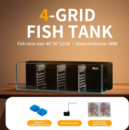Betta Display System Ultra Clear Multi-Grid Betta Aquarium – Premium Isolation Fish Tank wi ...