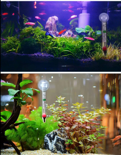 YEE Aquarium Thermometer, Accurate Temperature Measurement, Floating Design & Transparent Glass