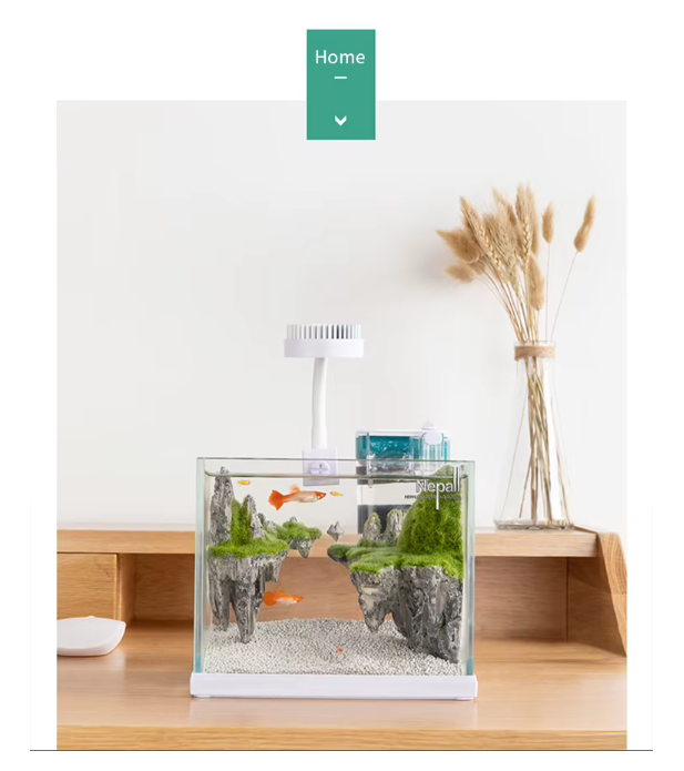 Nepall Miniature Landscape Sky City Moss