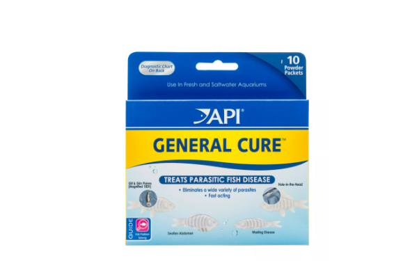 API General Cure Fresh and Saltwater Powder Medication 1ea/10 pk