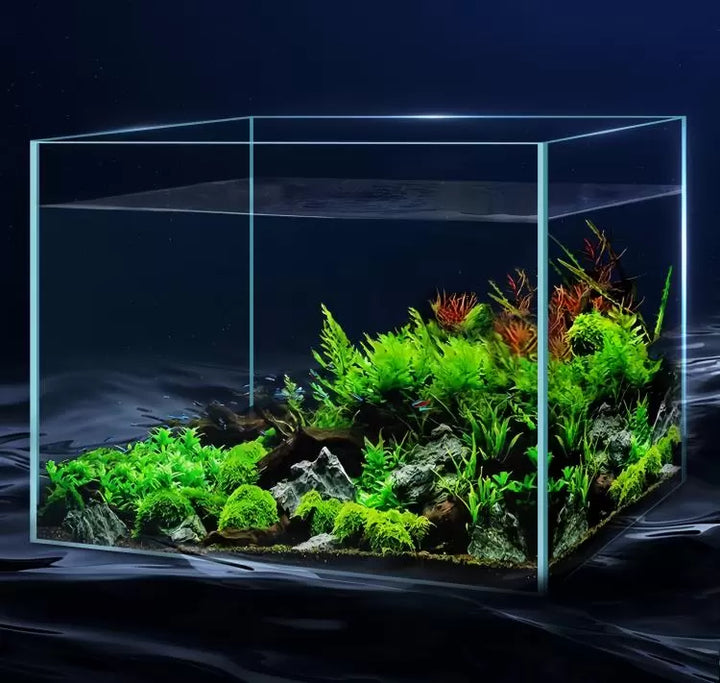 YEE Ultra White Rimless Glass Aquarium – 5MM Thickened, Handcrafted with Precision