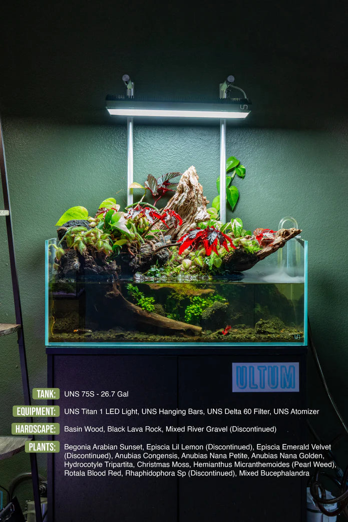 Ultum Nature Systems DELTA 60 Aquarium Canister Filter - V2 - Betta USA Aquatic