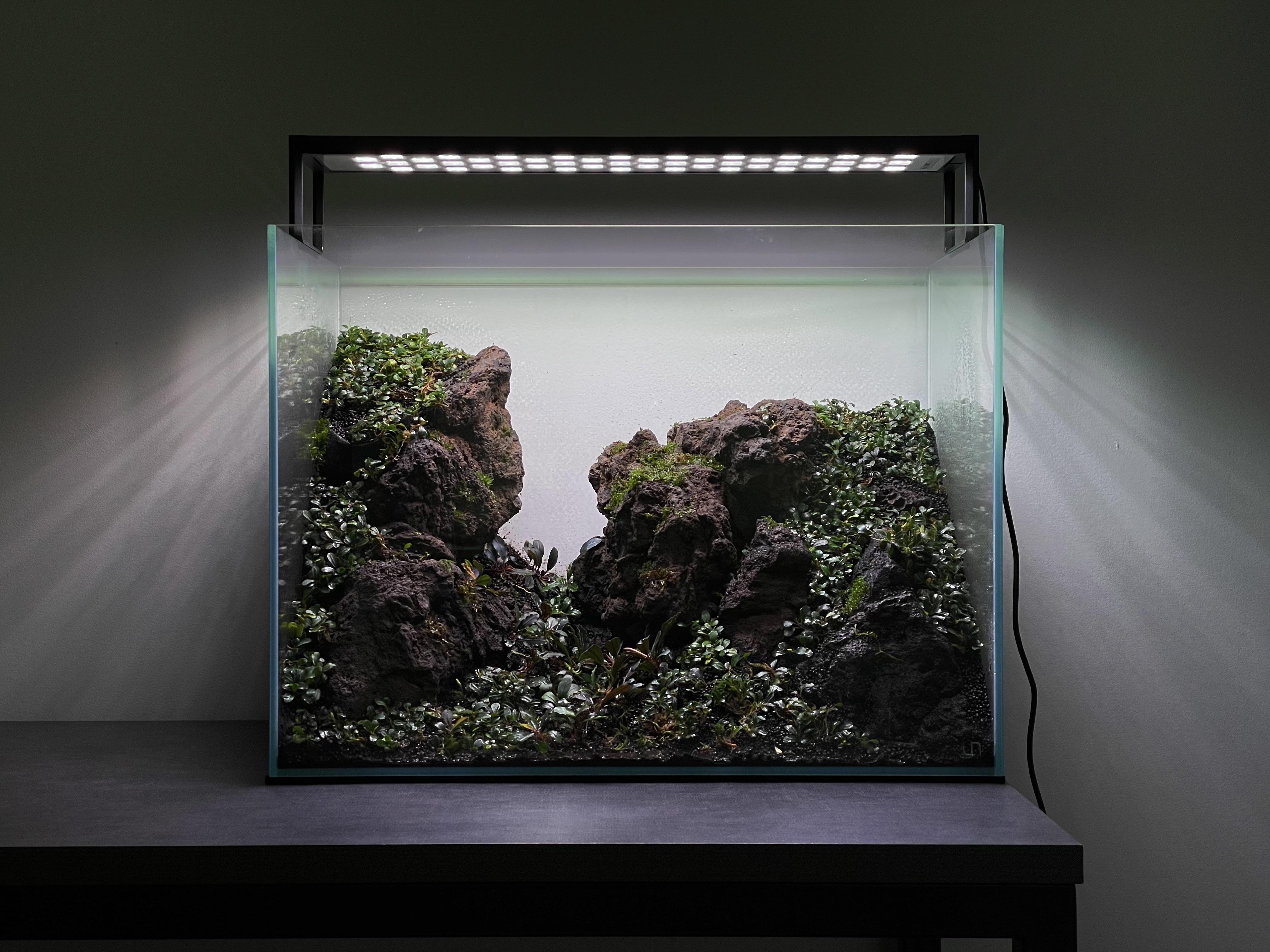 UNS 60T - 25.6 Gallon Ultra Clear Rimless Aquarium