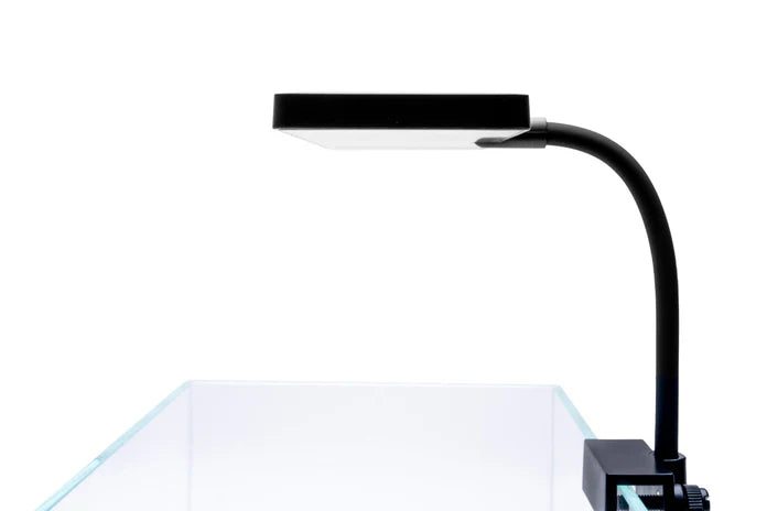 Aqua Worx EOS LED Aquarium Light - White - Betta USA Aquatic