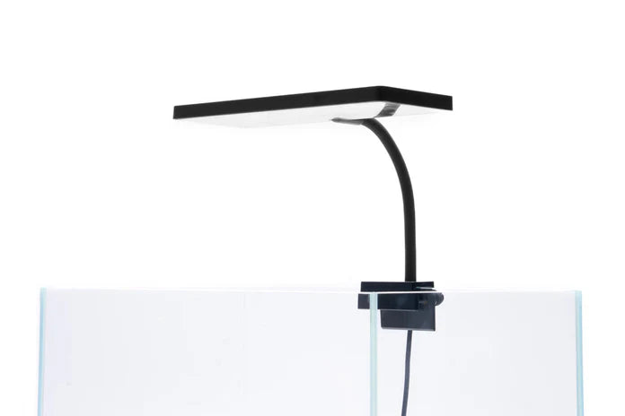 Aqua Worx EOS LED Aquarium Light - White - Betta USA Aquatic