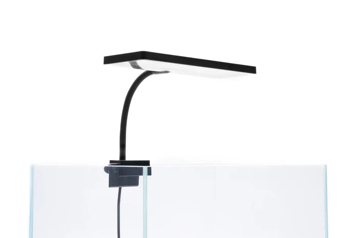 Aqua Worx EOS LED Aquarium Light - RGB - Betta USA Aquatic