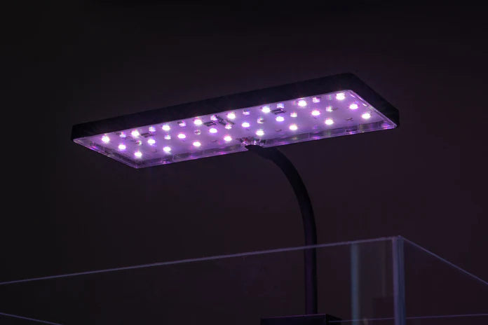 Aqua Worx EOS LED Aquarium Light - RGB - Betta USA Aquatic