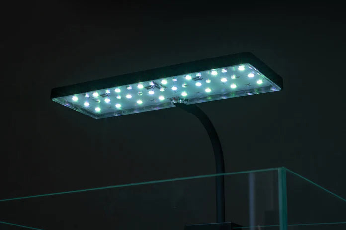 Aqua Worx EOS LED Aquarium Light - RGB - Betta USA Aquatic