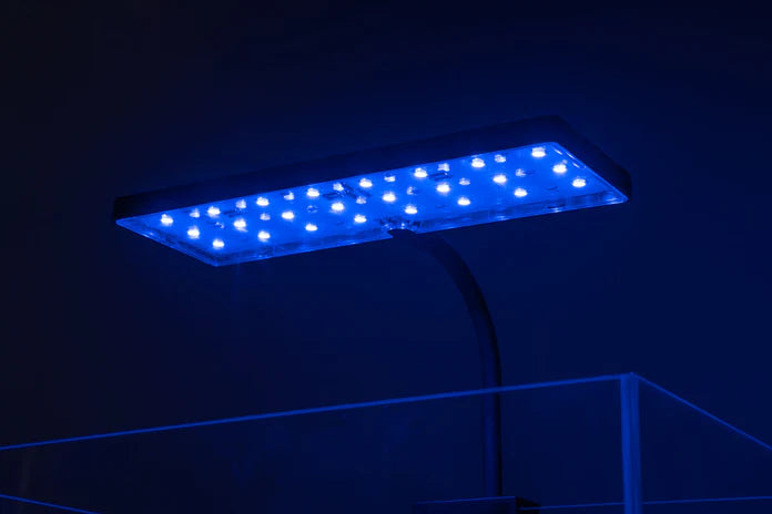 Aqua Worx EOS LED Aquarium Light - RGB - Betta USA Aquatic