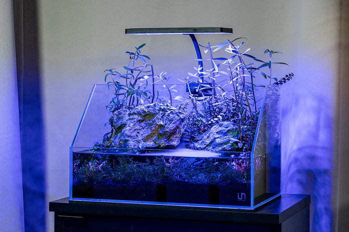 Aqua Worx EOS LED Aquarium Light - RGB - Betta USA Aquatic