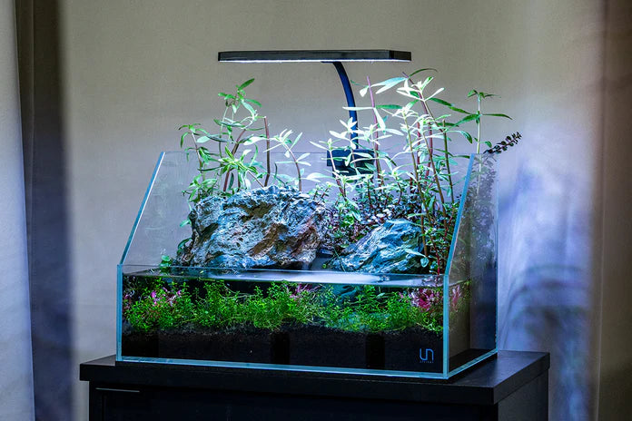 Aqua Worx EOS LED Aquarium Light - RGB