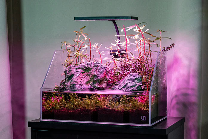 Aqua Worx EOS LED Aquarium Light - RGB