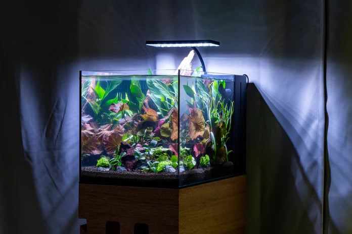 Aqua Worx EOS LED Aquarium Light - RGB - Betta USA Aquatic