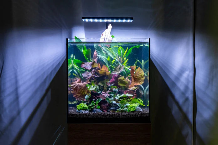 Aqua Worx EOS LED Aquarium Light - RGB - Betta USA Aquatic