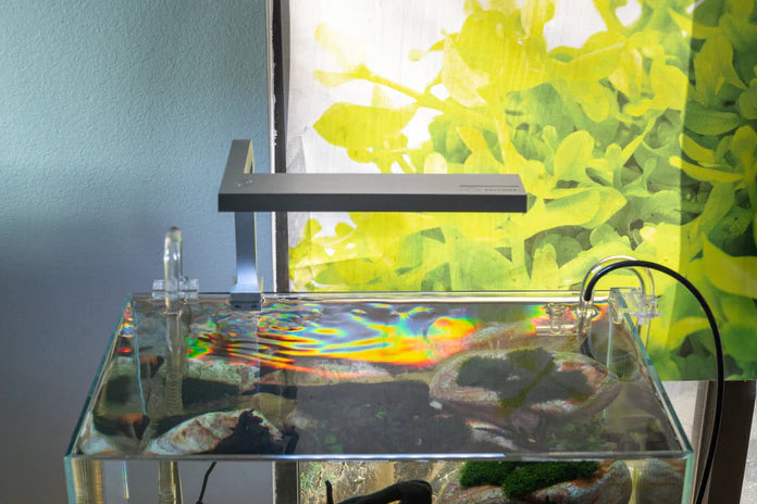 Aqua Worx Orion Nano LED Light