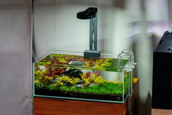 UNS 45L - 3.4 Gallon Ultra Clear Rimless Aquarium