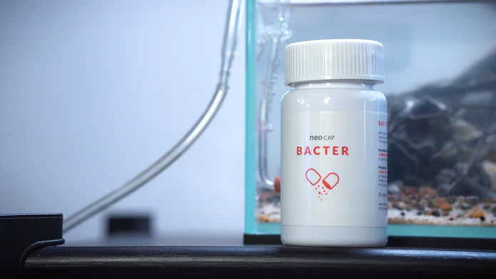 Aquario Neo Cap - Betta USA Aquatic