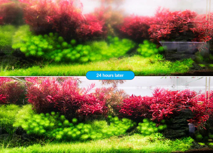 Aquario Neo Clean - Water Conditioner - Betta USA Aquatic