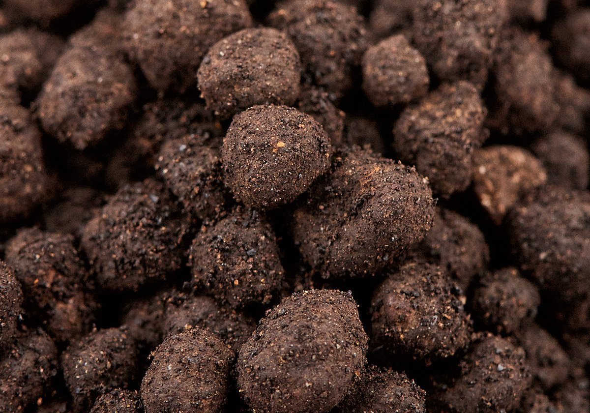Aquario Neo Plant Soil