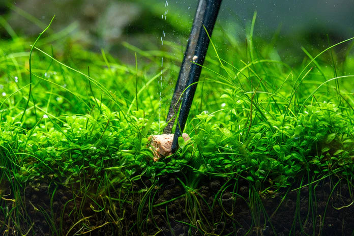 Aquario Neo Solid No CO2 Tab - Aquatic Plant Root Fertilizer - Betta USA Aquatic