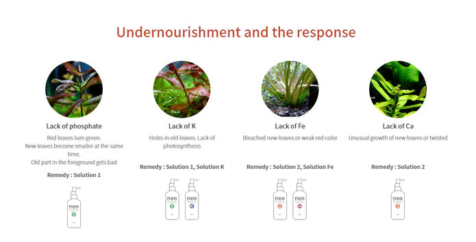 Aquario Neo Solution K - Liquid Potassium Fertilizer