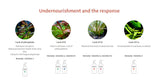 Aquario Neo Solution K - Liquid Potassium Fertilizer