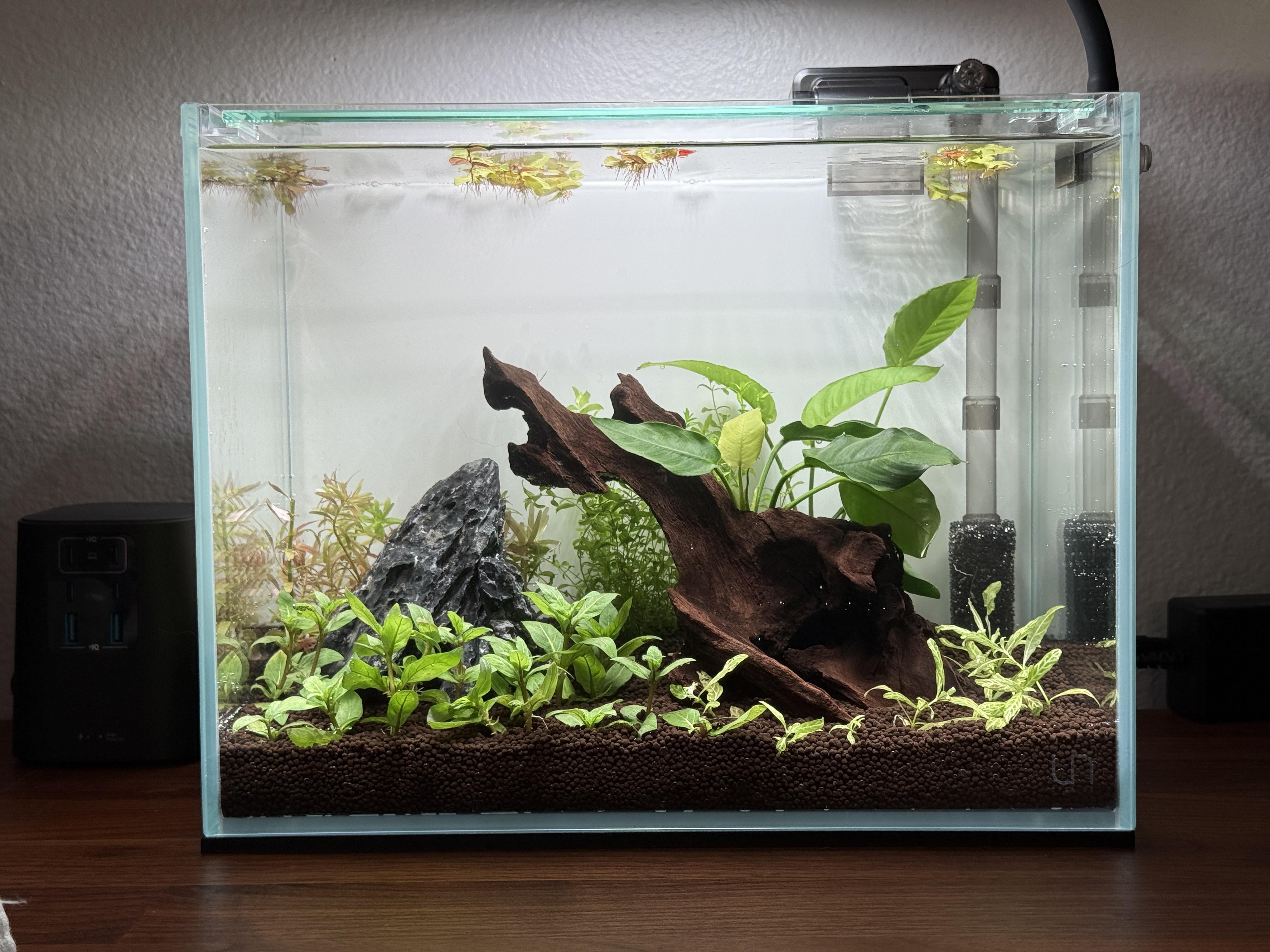 UNS 3T - 3.7 Gallon Ultra Clear Rimless Aquarium