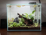 UNS 3T - 3.7 Gallon Ultra Clear Rimless Aquarium