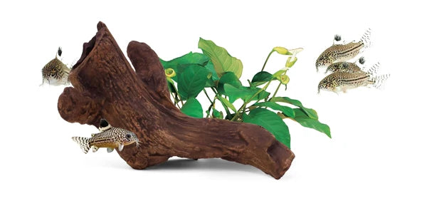 Seachem Aquavitro Ceramic Hide