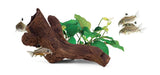Seachem Aquavitro Ceramic Hide