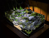 UNS 60S - 10.2 Gallon Ultra Clear Rimless Aquarium