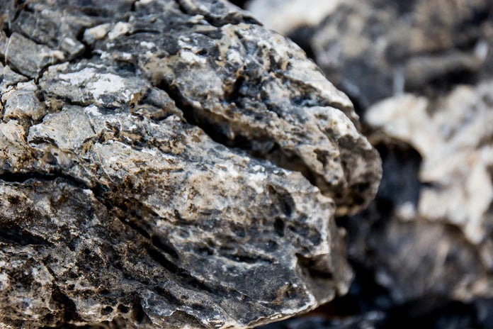 Black Mountain Seiryu Stone