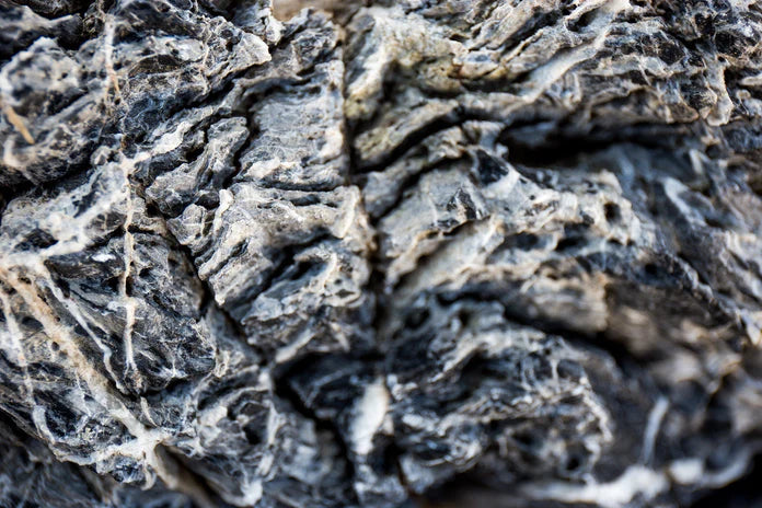 Black Mountain Seiryu Stone