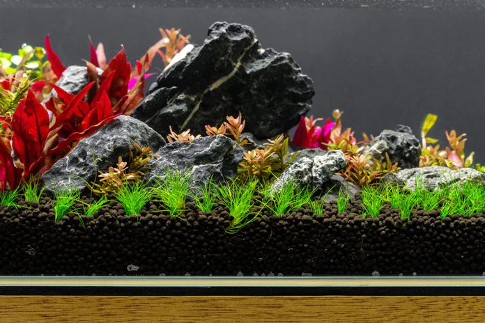 Blue Mountain Seiryu Stone