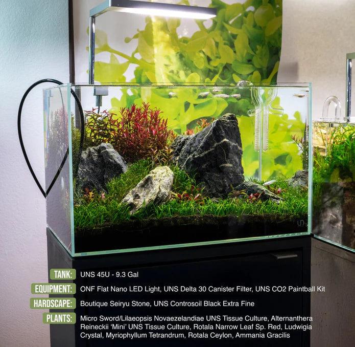 UNS 45U - 9.3 Gallon Ultra Clear Rimless Aquarium