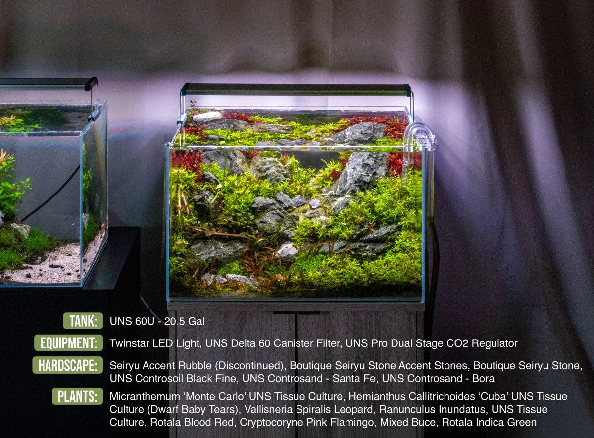 UNS 60U - 20.5 Gallon Ultra Clear Rimless Aquarium