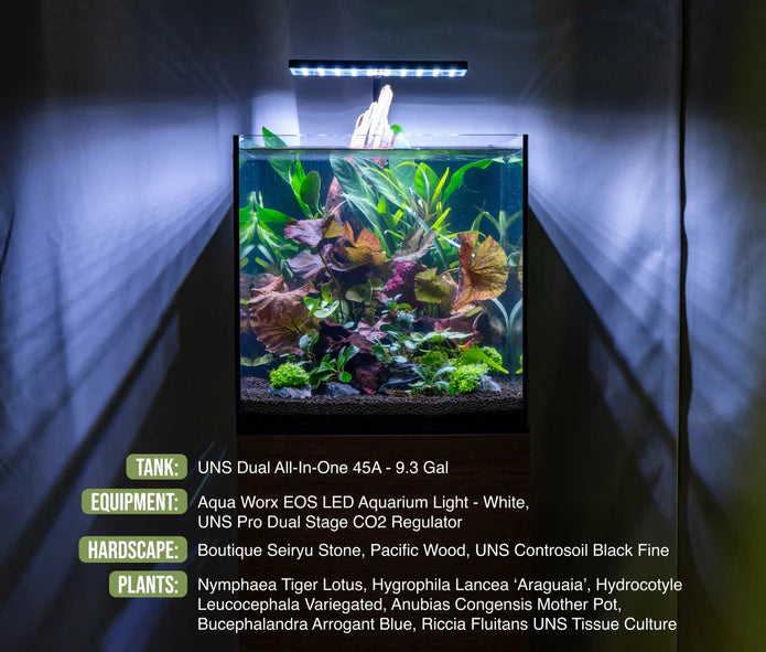 Aqua Worx EOS LED Aquarium Light - White - Betta USA Aquatic