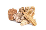 Burmese Petrified Wood