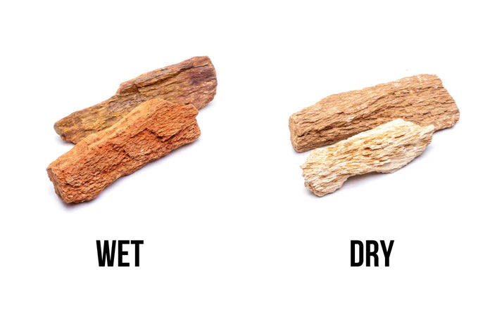 Burmese Petrified Wood