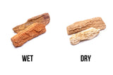 Burmese Petrified Wood