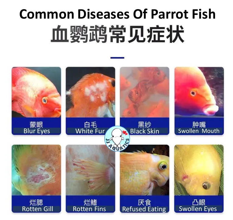 YEE – Parrot Fish Comprehensive Rehabilitation & Disease + Parasite Treatment - 535ml