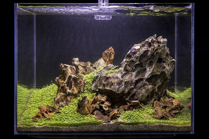 Dragon Stone (Ohko)