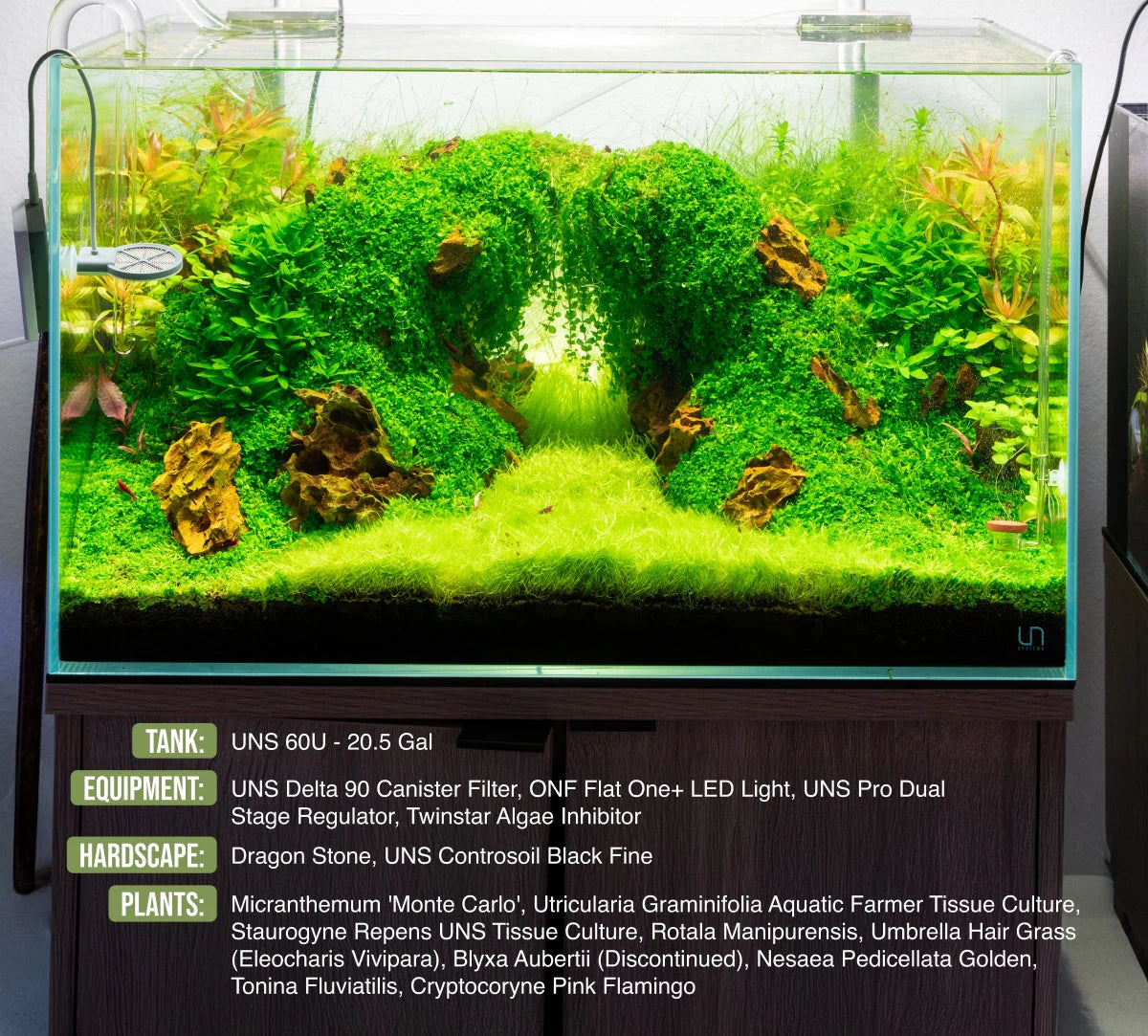 UNS 60U - 20.5 Gallon Ultra Clear Rimless Aquarium