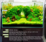 UNS 60U - 20.5 Gallon Ultra Clear Rimless Aquarium